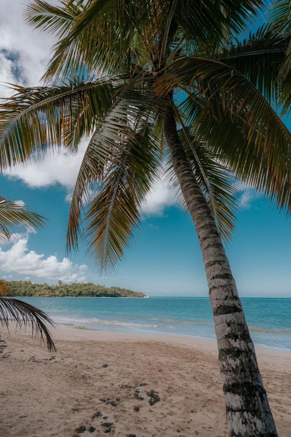 Condo Hotel Playa Las Ballenas ラス・テレナス エクステリア 写真